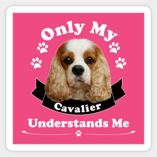 Only My Cavalier Understands Me T-shirts and Gifts Sticker